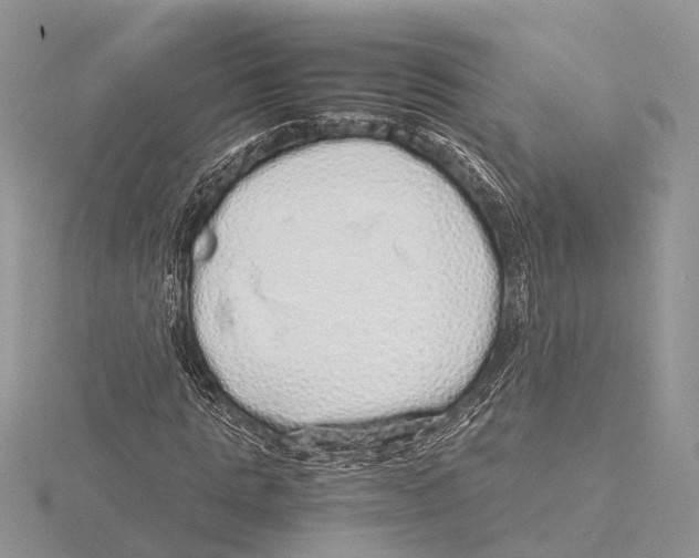 X0000115620821200912081021