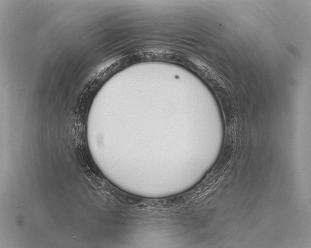 X0000115620822200912081021