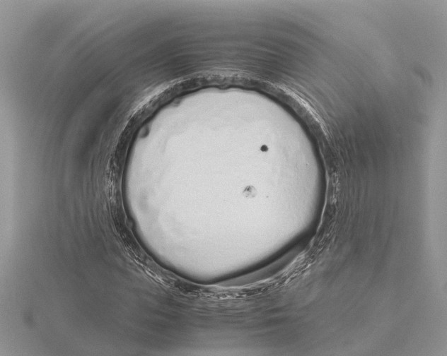 X0000115620823200912081021