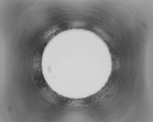 X0000115620824200912081021