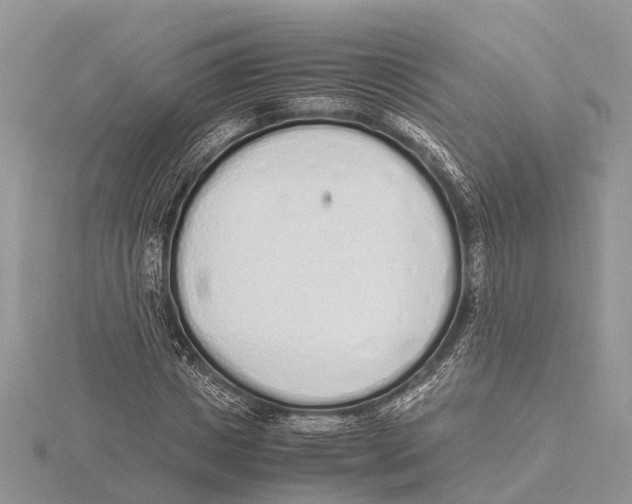 X0000115620825200912081021