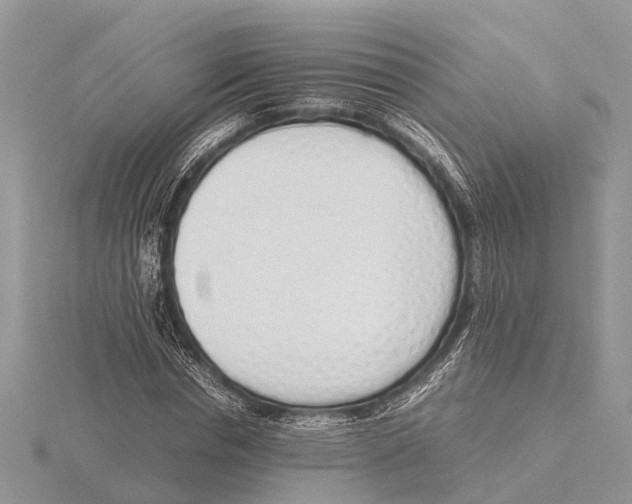 X0000115620826200912081021