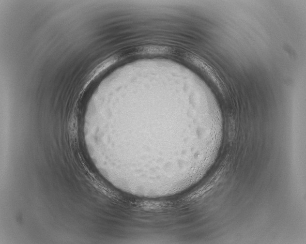 X0000115620827200912081021