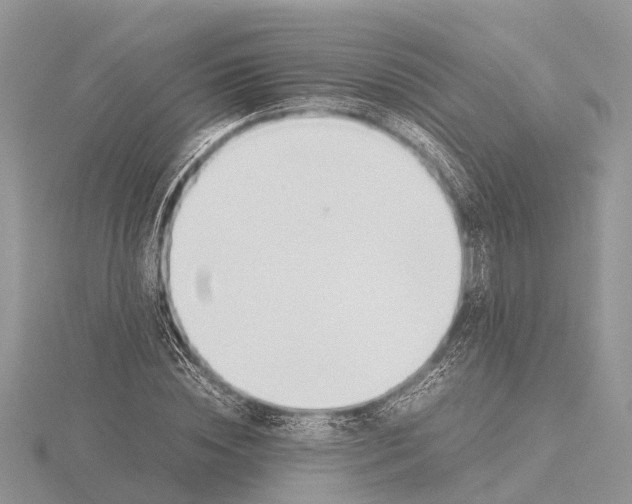 X0000115620828200912081021