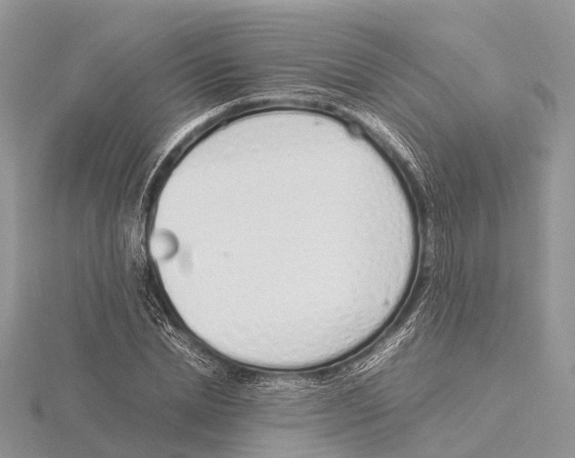 X0000115620830200912081021