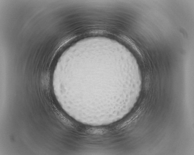 X0000115620831200912081021