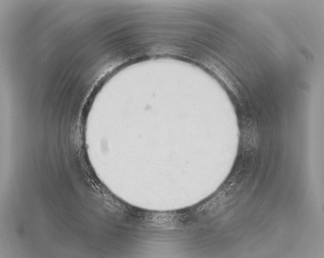 X0000115620832200912081021