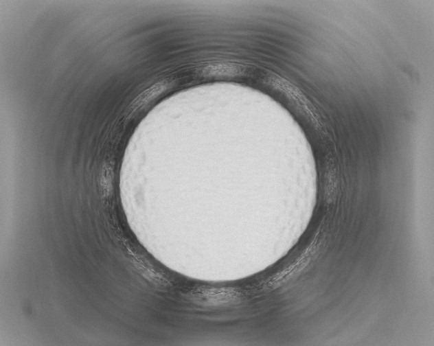 X0000115620833200912081021