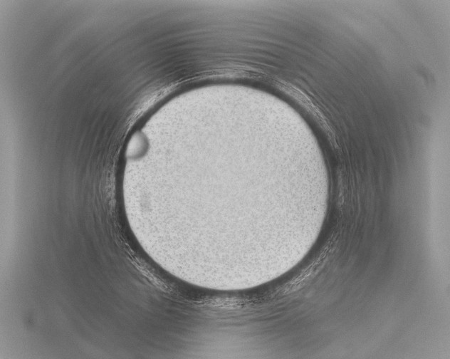 X0000115620834200912081021