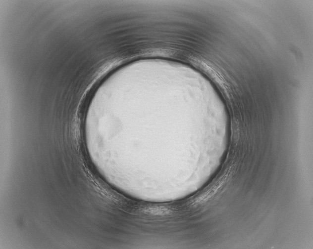 X0000115620835200912081021