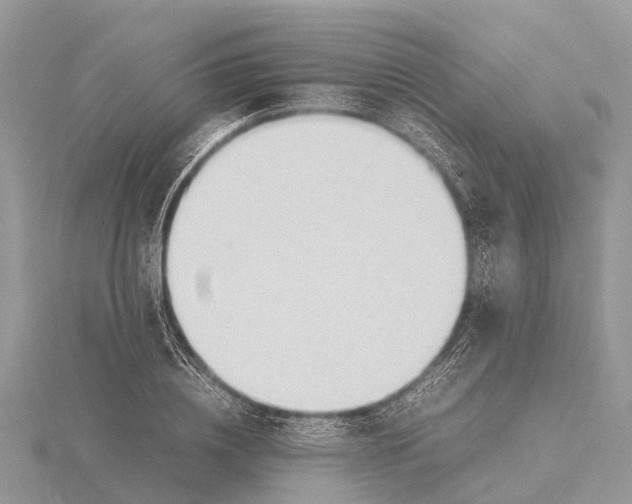 X0000115620836200912081021