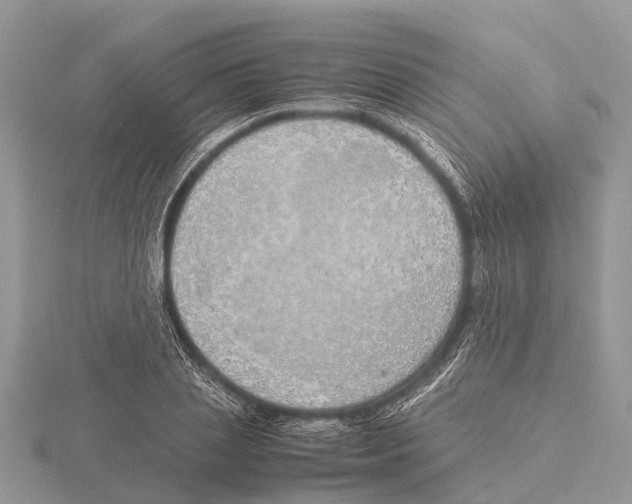 X0000115620837200912081021