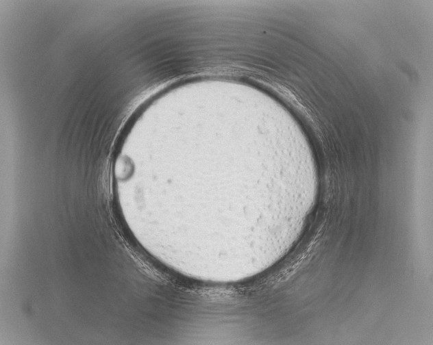 X0000115620838200912081021