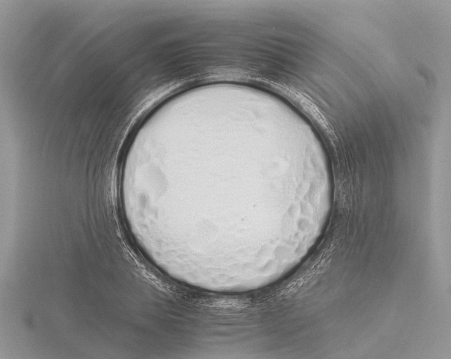 X0000115620839200912081021