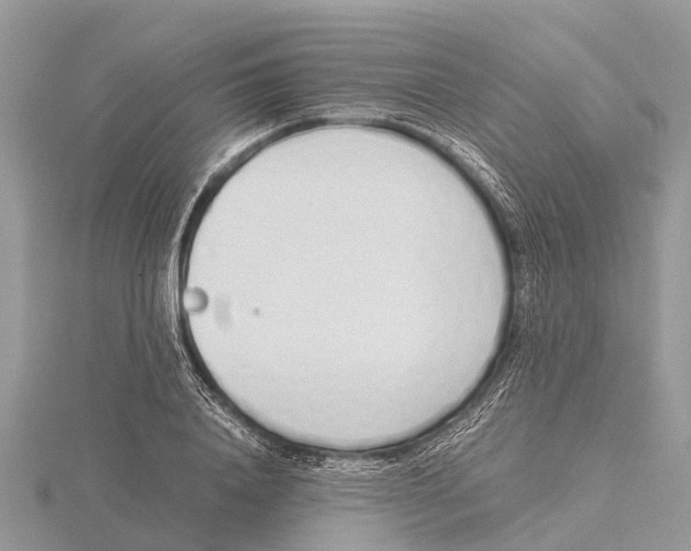 X0000115620840200912081021