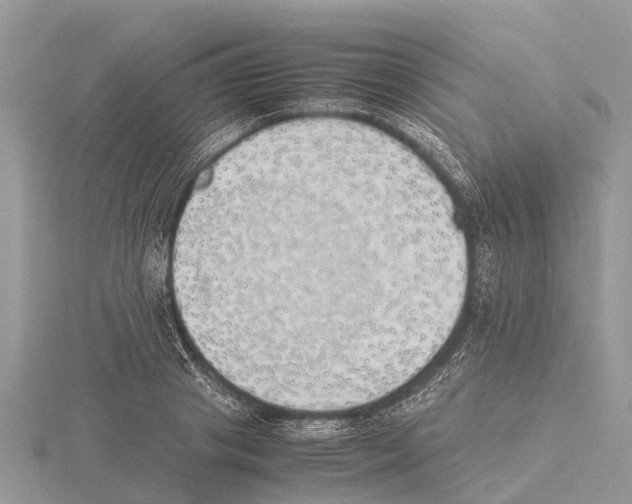 X0000115620841200912081021