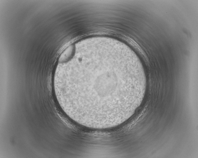 X0000115620842200912081021