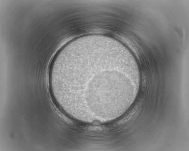 X0000115620843200912081021