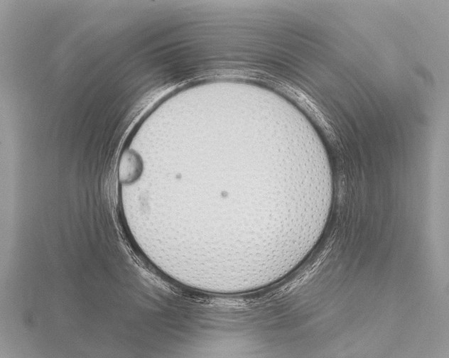 X0000115620844200912081021