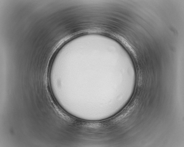 X0000115620845200912081021