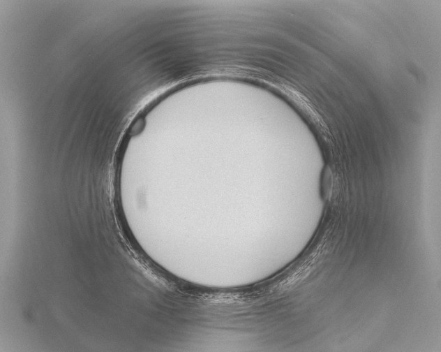 X0000115620846200912081021