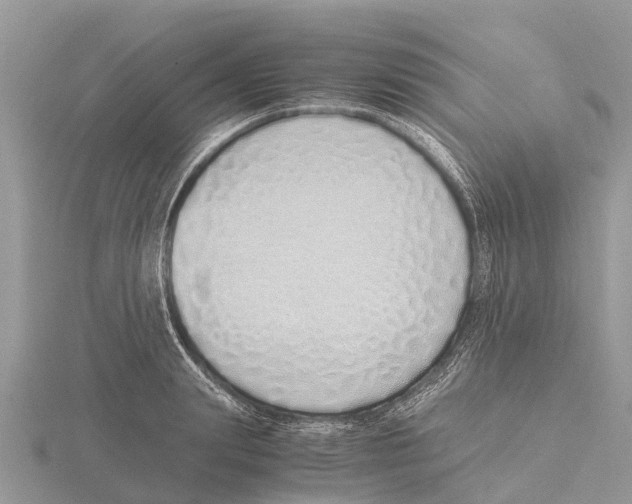 X0000115620847200912081021