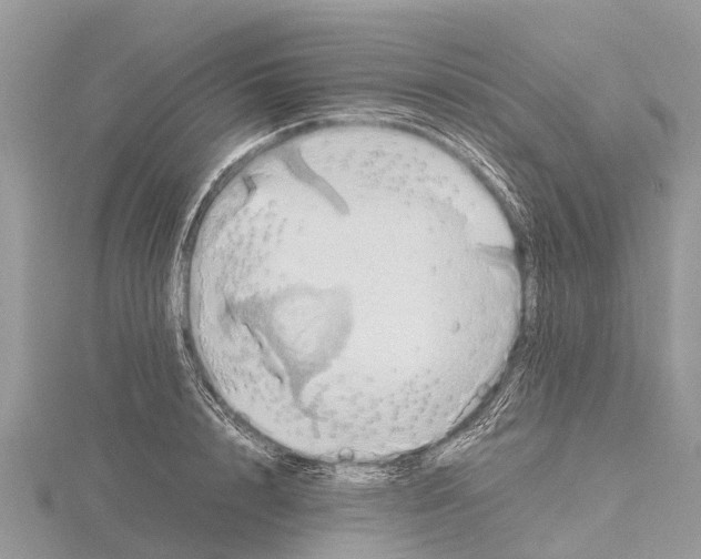 X0000115620848200912081021