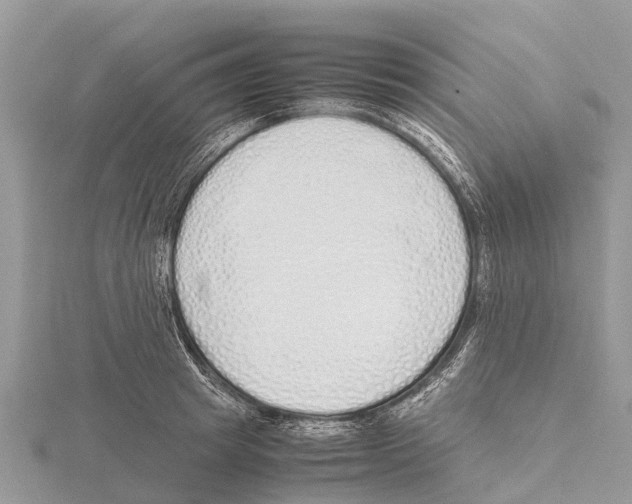 X0000115620849200912081021