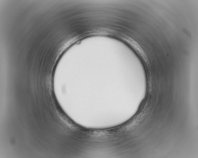 X0000115620850200912081021