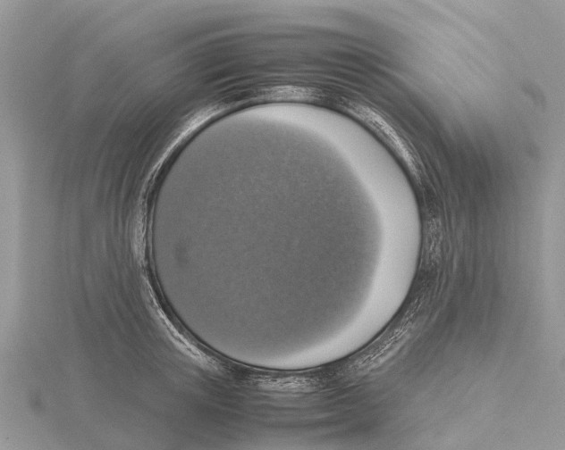 X0000115620851200912081021