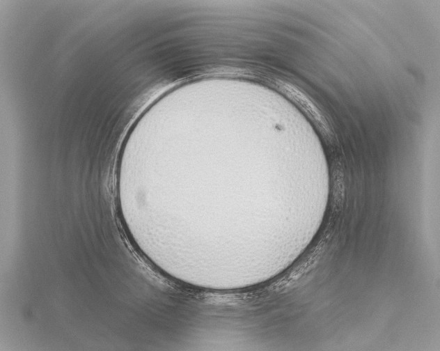 X0000115620852200912081021