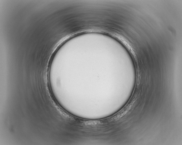 X0000115620853200912081021