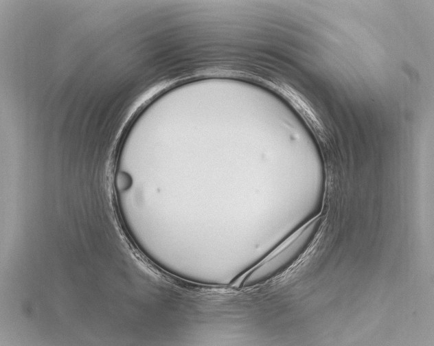 X0000115620854200912081021