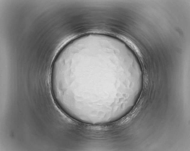 X0000115620855200912081021