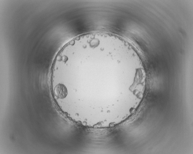 X0000115620856200912081021