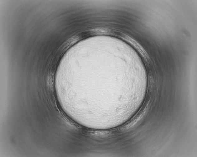 X0000115620857200912081022