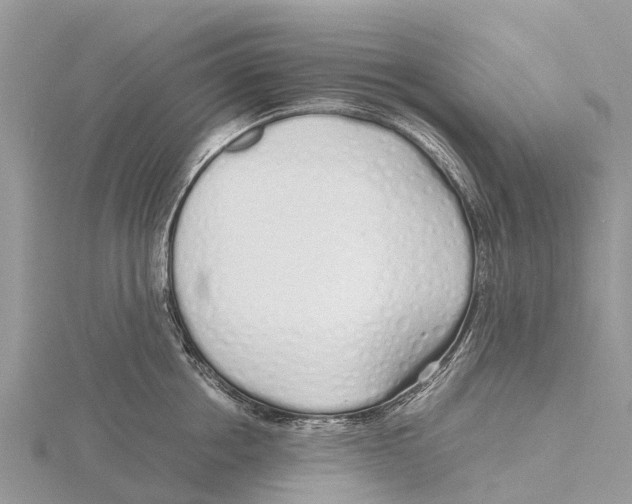 X0000115620858200912081022