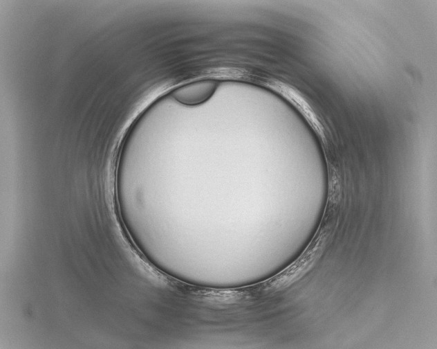 X0000115620859200912081022