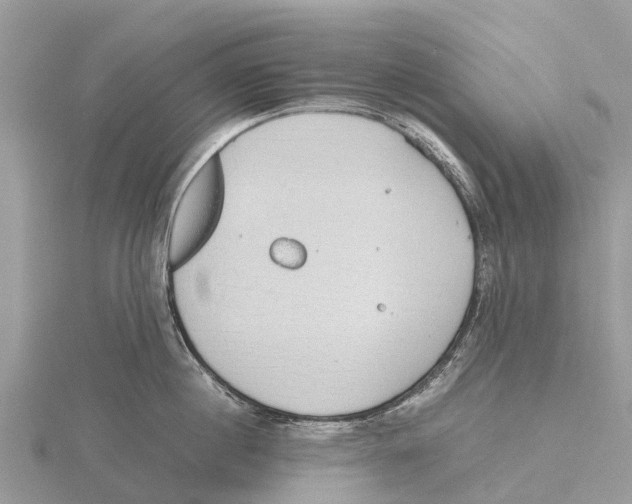 X0000115620860200912081022