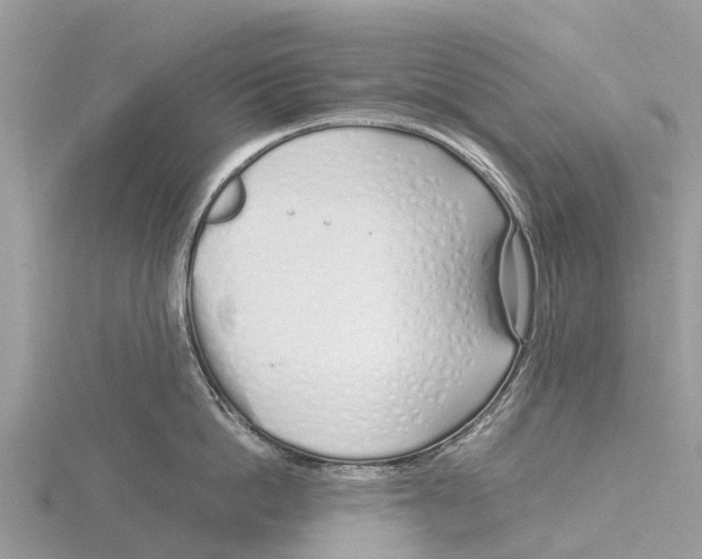 X0000115620862200912081022