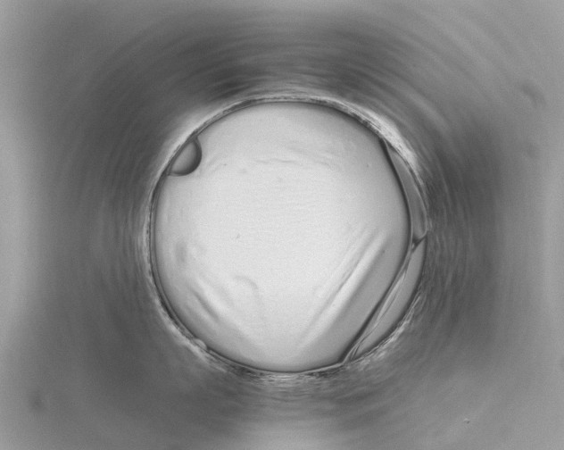 X0000115620863200912081022