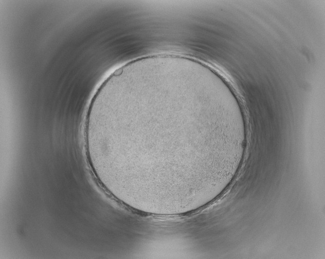 X0000115620864200912081022