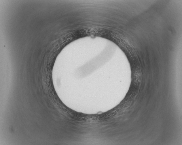 X0000115620865200912081021