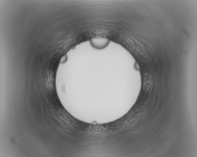 X0000115620866200912081021