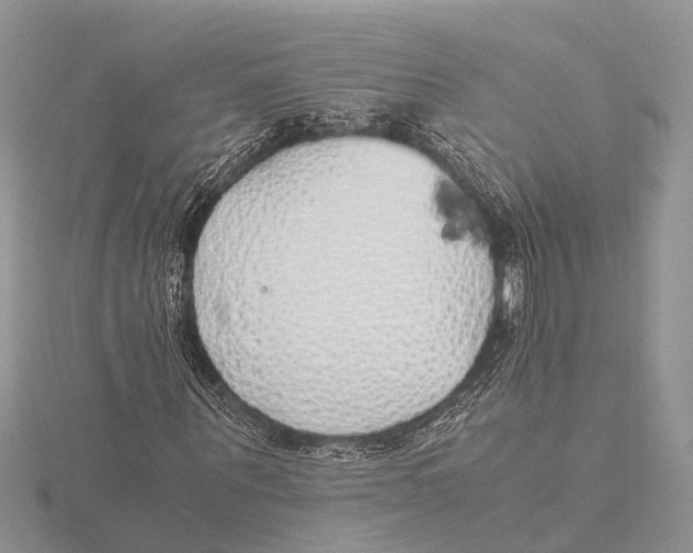 X0000115620867200912081021