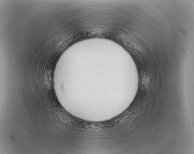 X0000115620868200912081021