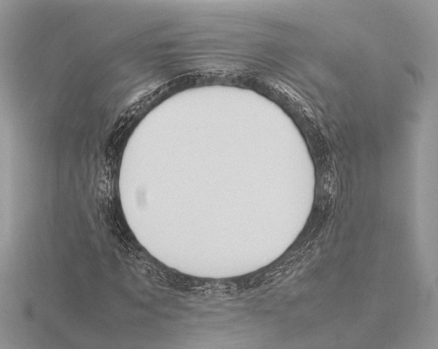 X0000115620869200912081021