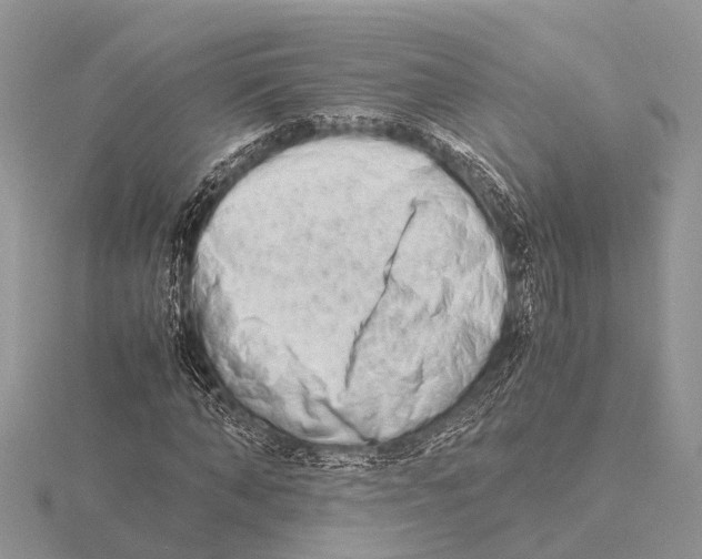 X0000115620870200912081021