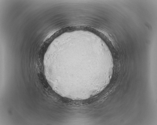 X0000115620871200912081021