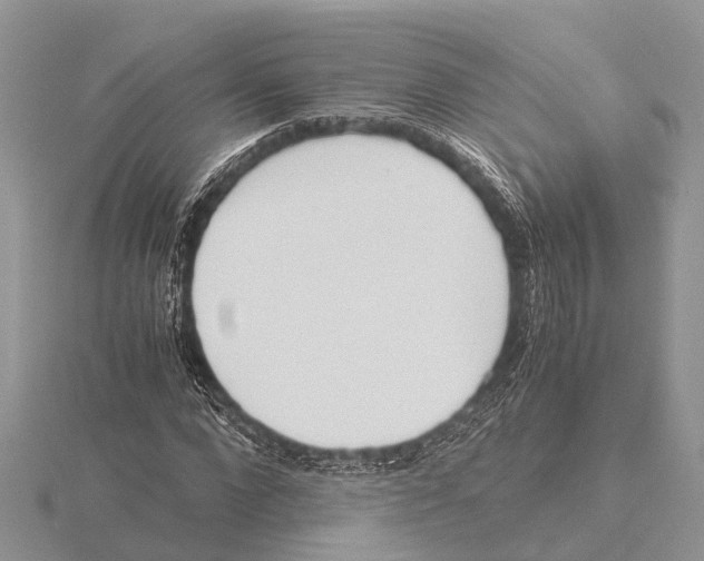 X0000115620872200912081021